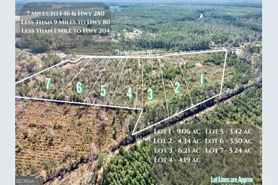 Lot 2 Charles Shuman Road, Pembroke, GA 31321 - Photo 1