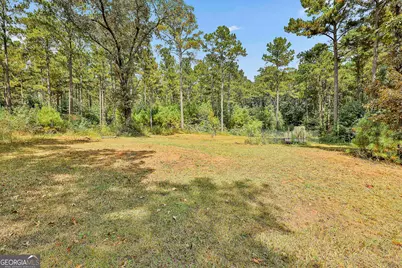 40 Couch Court, Senoia, GA 30276 - Photo 11