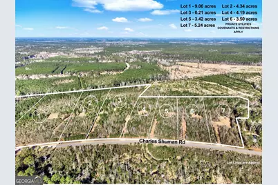 Lot 4 Charles Shuman Road, Pembroke, GA 31321 - Photo 3