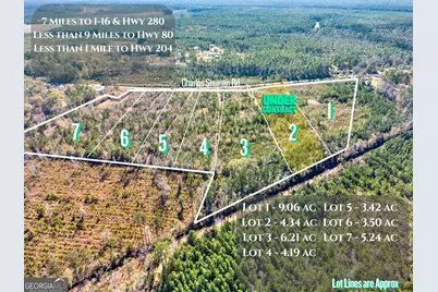 Lot 5 Charles Shuman Road, Pembroke, GA 31321 - Photo 1
