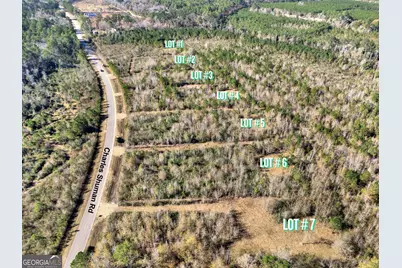 Lot 5 Charles Shuman Road, Pembroke, GA 31321 - Photo 3
