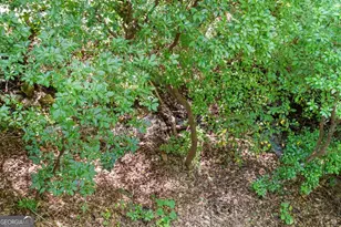 605 White St, Hiawassee, GA 30546 - Photo 35