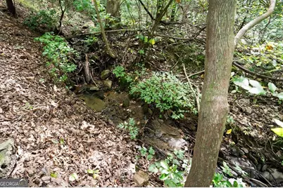 605 White Street, Hiawassee, GA 30546 - Photo 39