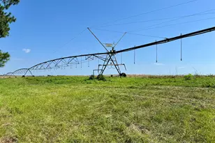 762 Nicholson-Carr Rd, Chester, GA 31012 - Photo 69