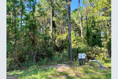 762 Nicholson Carr Road, Chester, GA 31012 - Photo 75