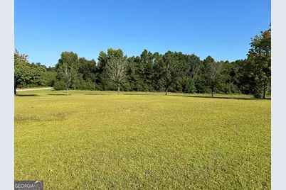 762 Nicholson Carr Road, Chester, GA 31012 - Photo 55