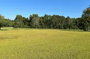 762 Nicholson-Carr Rd, Chester, GA 31012 - Photo 55