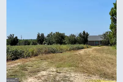 762 Nicholson Carr Road, Chester, GA 31012 - Photo 67