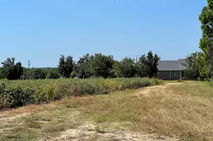 762 Nicholson-Carr Rd, Chester, GA 31012 - Photo 67