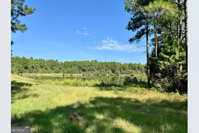 762 Nicholson Carr Road, Chester, GA 31012 - Photo 73