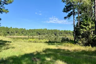 762 Nicholson-Carr Rd, Chester, GA 31012 - Photo 73