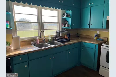 762 Nicholson Carr Road, Chester, GA 31012 - Photo 39