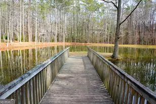 391 Foggy Bottom Dr, Carrollton, GA 30116 - Photo 89