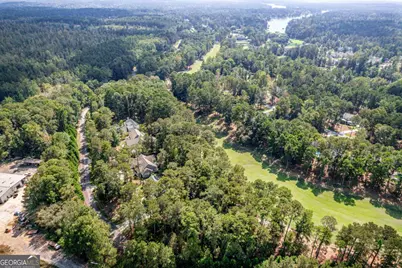 1040 Quaker Ridge Road, Greensboro, GA 30642 - Photo 61