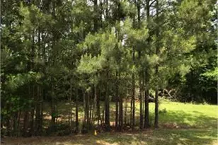 417 Lake Water Point, Lizella, GA 31052 - Photo 1