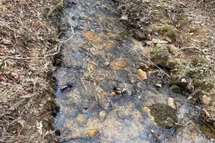 5265 New Liberty Rd, Clarkesville, GA 30523 - Photo 65