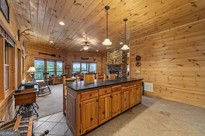 1150 Mountain High Drive, Mineral Bluff, GA 30559 - Photo 45