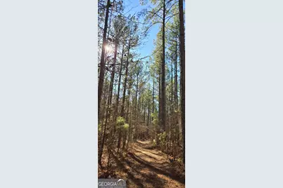 0 5 Points Road, Gray, GA 31032 - Photo 27