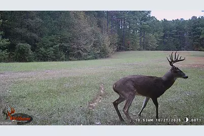 0 5 Points Road, Gray, GA 31032 - Photo 3