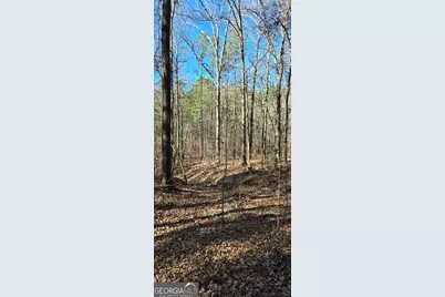 0 5 Points Road, Gray, GA 31032 - Photo 23