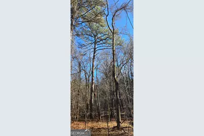 0 5 Points Road, Gray, GA 31032 - Photo 29