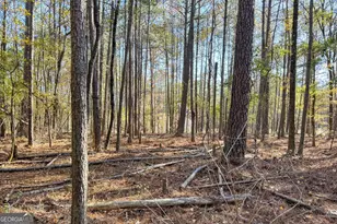 0 Crawford Rd, Barnesville, GA 30204 - Photo 5