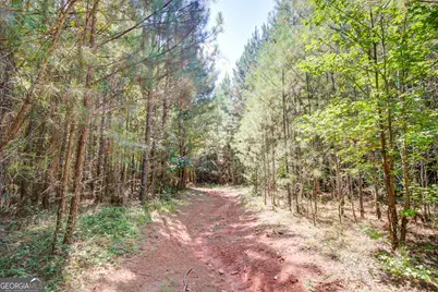 3591 Ga 54, Hogansville, GA 30230 - Photo 115