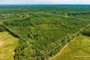 3591 GA-54, Hogansville, GA 30230 - Photo 17