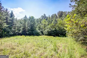 3591 GA-54, Hogansville, GA 30230 - Photo 131