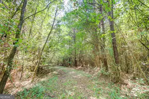 3591 GA-54, Hogansville, GA 30230 - Photo 121