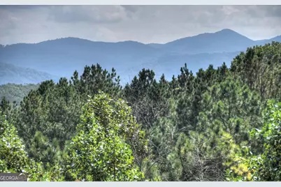 603 Red Berry Ridge Road, Blue Ridge, GA 30513 - Photo 15