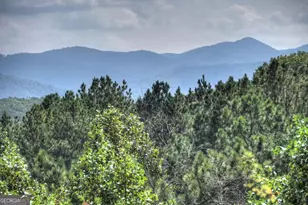 603 Red Berry Ridge Rd, Blue Ridge, GA 30513 - Photo 15