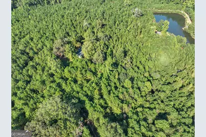 1206 + 0 Macedonia Road, Newnan, GA 30263 - Photo 3