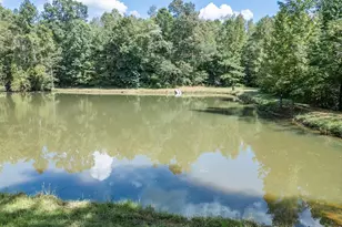 1200 McNair Ln, Madison, GA 30650 - Photo 49