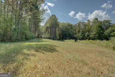 1200 McNair Lane, Madison, GA 30650 - Photo 45