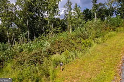 Lt 275 Highgrove Drive, Talking Rock, GA 30175 - Photo 9