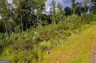 Lt 275 Highgrove Dr, Talking Rock, GA 30175 - Photo 9