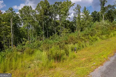 Lt 275 Highgrove Drive, Talking Rock, GA 30175 - Photo 5