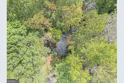 262 Jackson Shoals Road, Franklin, GA 30217 - Photo 49