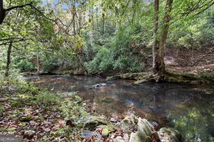 262 Jackson Shoals Rd, Franklin, GA 30217 - Photo 39