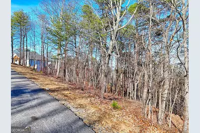 334 Mountain Sweet Drive #654, Clarkesville, GA 30523 - Photo 11