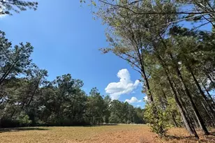 2470 Kitchen Rd, Dexter, GA 31019 - Photo 25