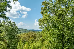 329 Carlie Trail, Blue Ridge, GA 30513 - Photo 13