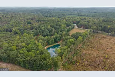 915 Pea Ridge Road, Franklin, GA 30217 - Photo 45