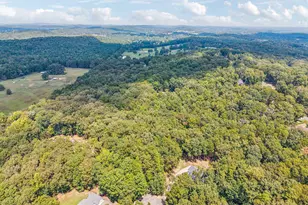4416 Wedgewood Ln, Cohutta, GA 30710 - Photo 89