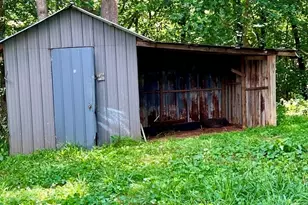 43 Irvin Dr, Dawsonville, GA 30534 - Photo 13