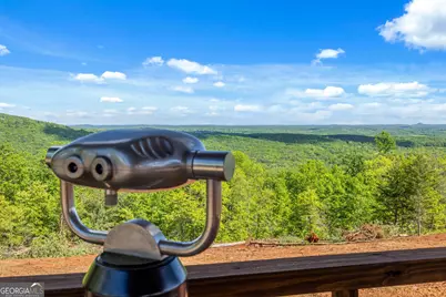 135 Mountain Ridge Drive, Clarkesville, GA 30523 - Photo 69