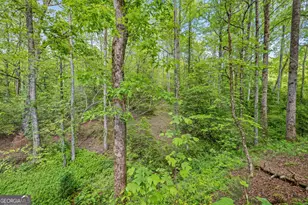 135 Mountain Rdg Dr, Clarkesville, GA 30523 - Photo 55