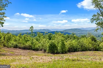 135 Mountain Ridge Drive, Clarkesville, GA 30523 - Photo 59