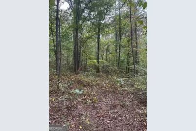 3842 Salacoa #-TRACT A, Waleska, GA 30183 - Photo 3